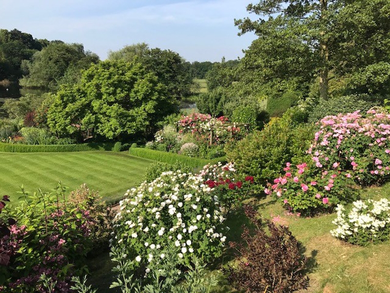 The Dower House, Melbourne, Derbyshire, DE73 8JH National Garden Scheme